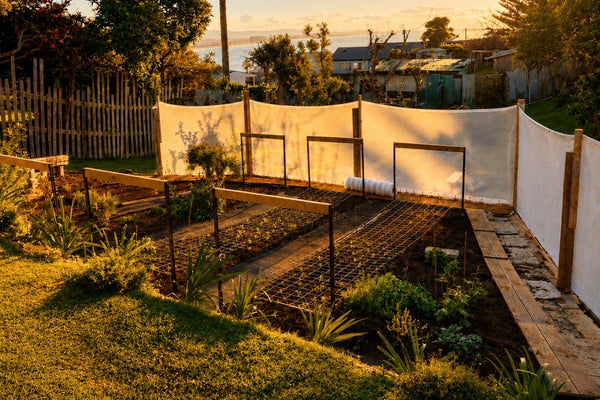 Eight Years, Three Gardens & the Soft Return of Soil Under My Nails