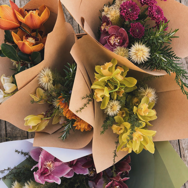 Wild Posy